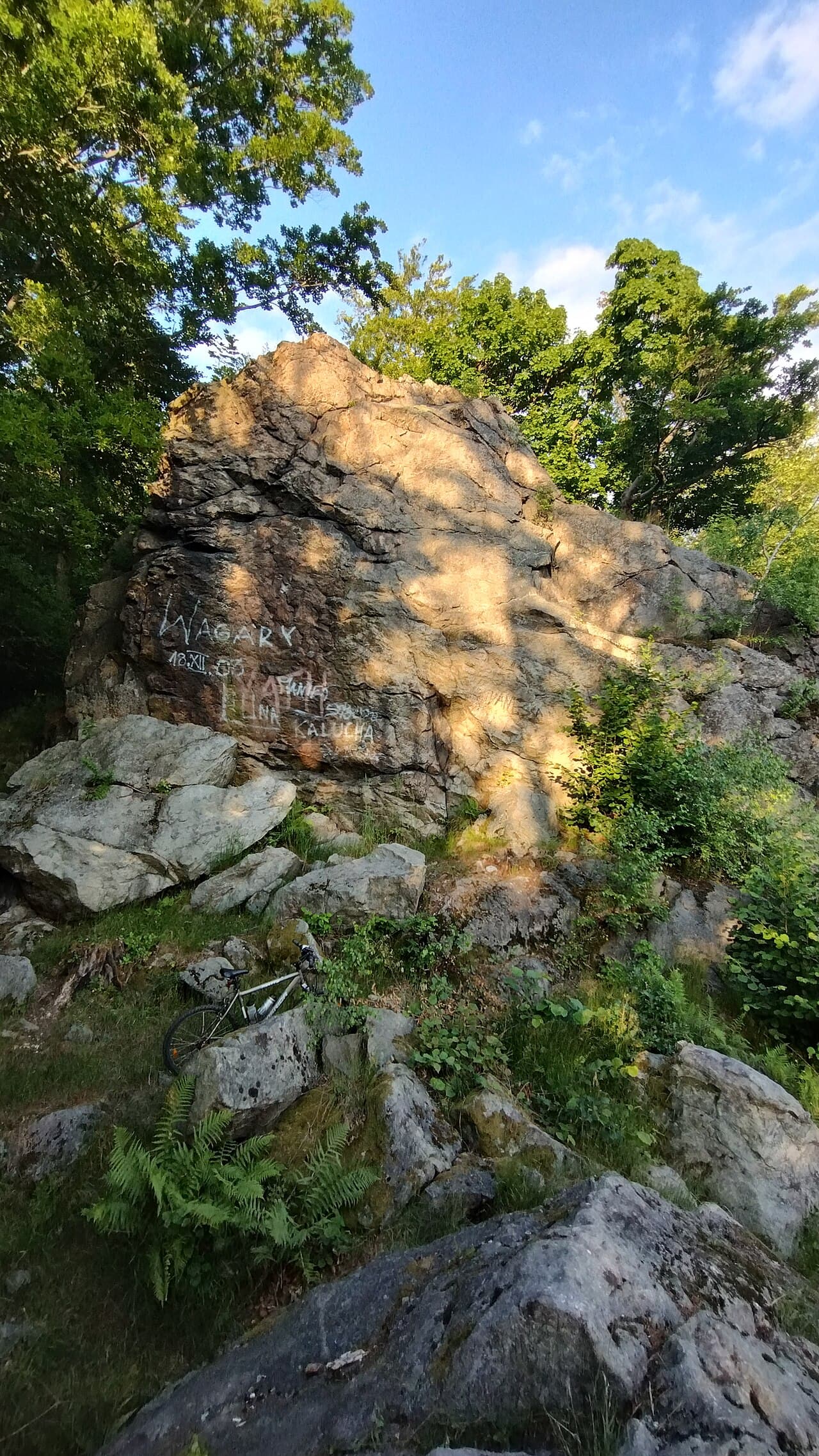 Głuszyca