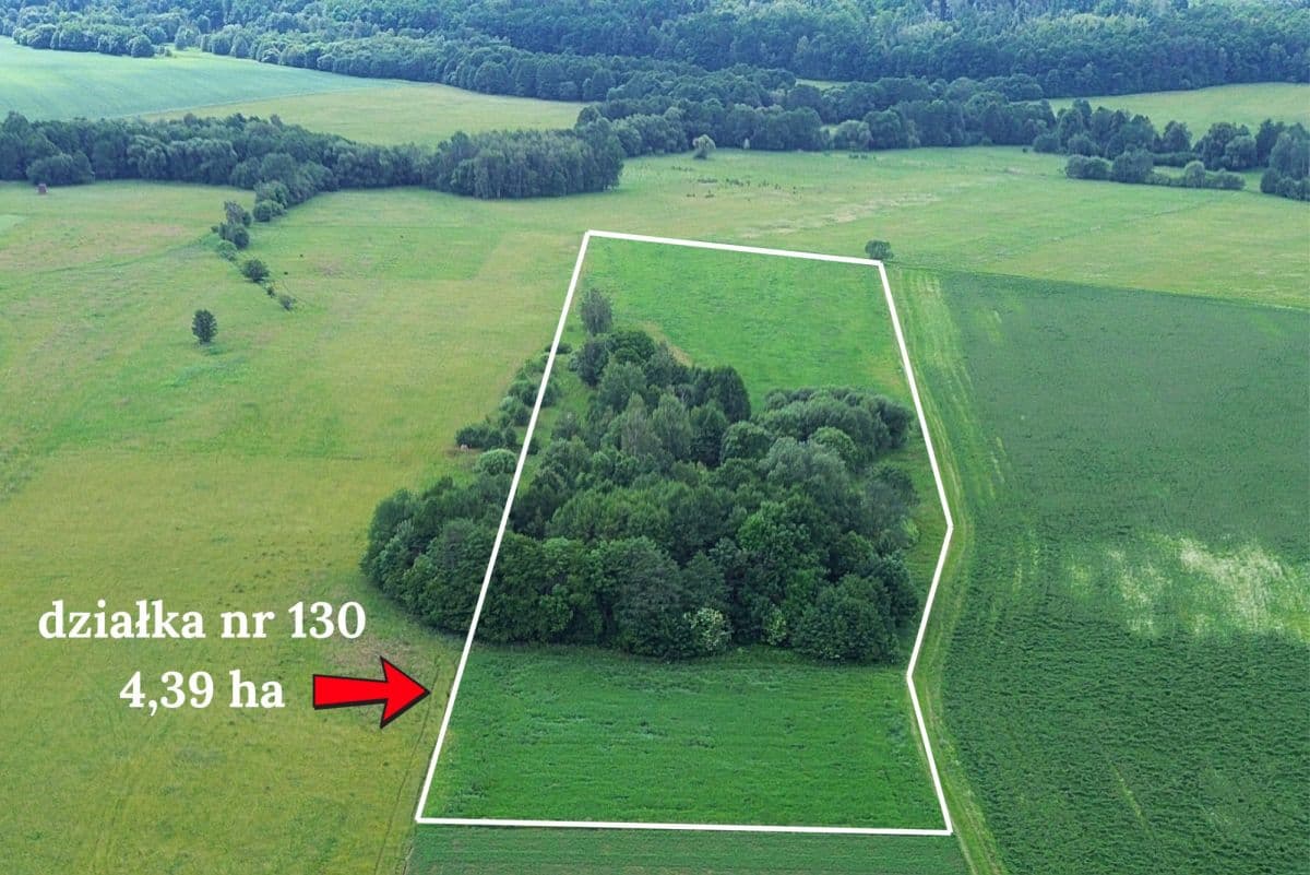 Terreno - 43900 m² - Goworów