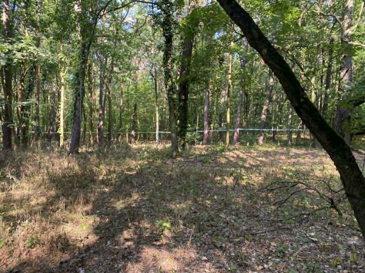 부지 - 7268 m² - ul. Stefana Żółkiewskiego Konstancin-Jeziorna