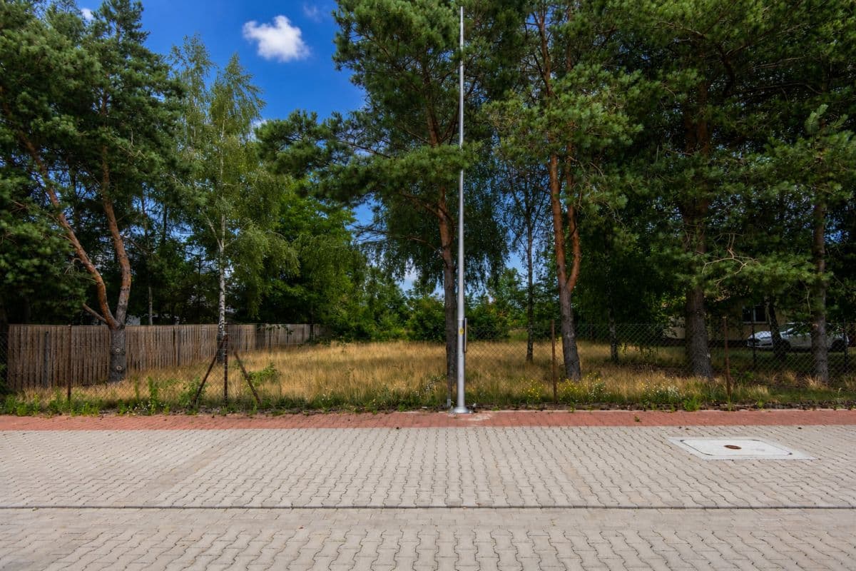 Участок - 831 м² - Палендзе