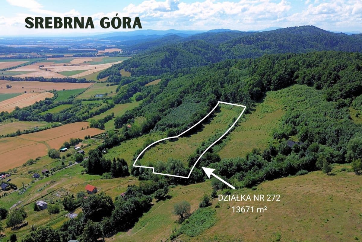 Plot - 13671 m² - Srebrna Góra