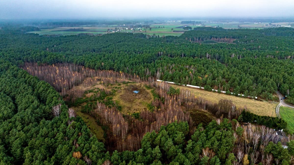 Grundstück - 7622 m² - Gizałki-Las