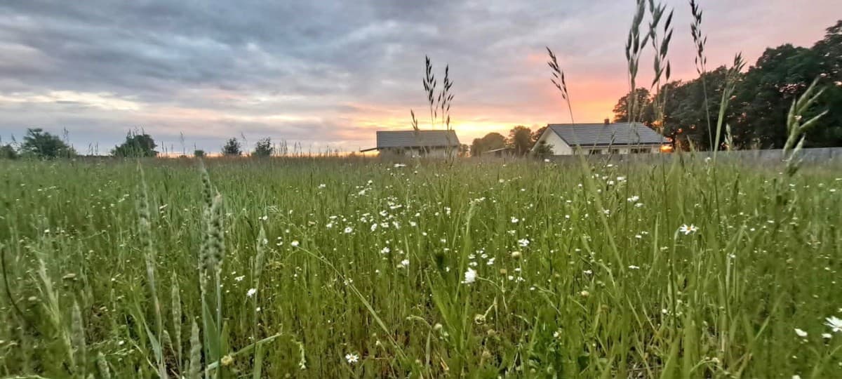 Działka - 948 m² - Kolonia Brużyca
