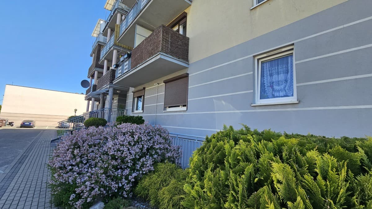 Locale - 63 m² - via Zielonogórska Września
