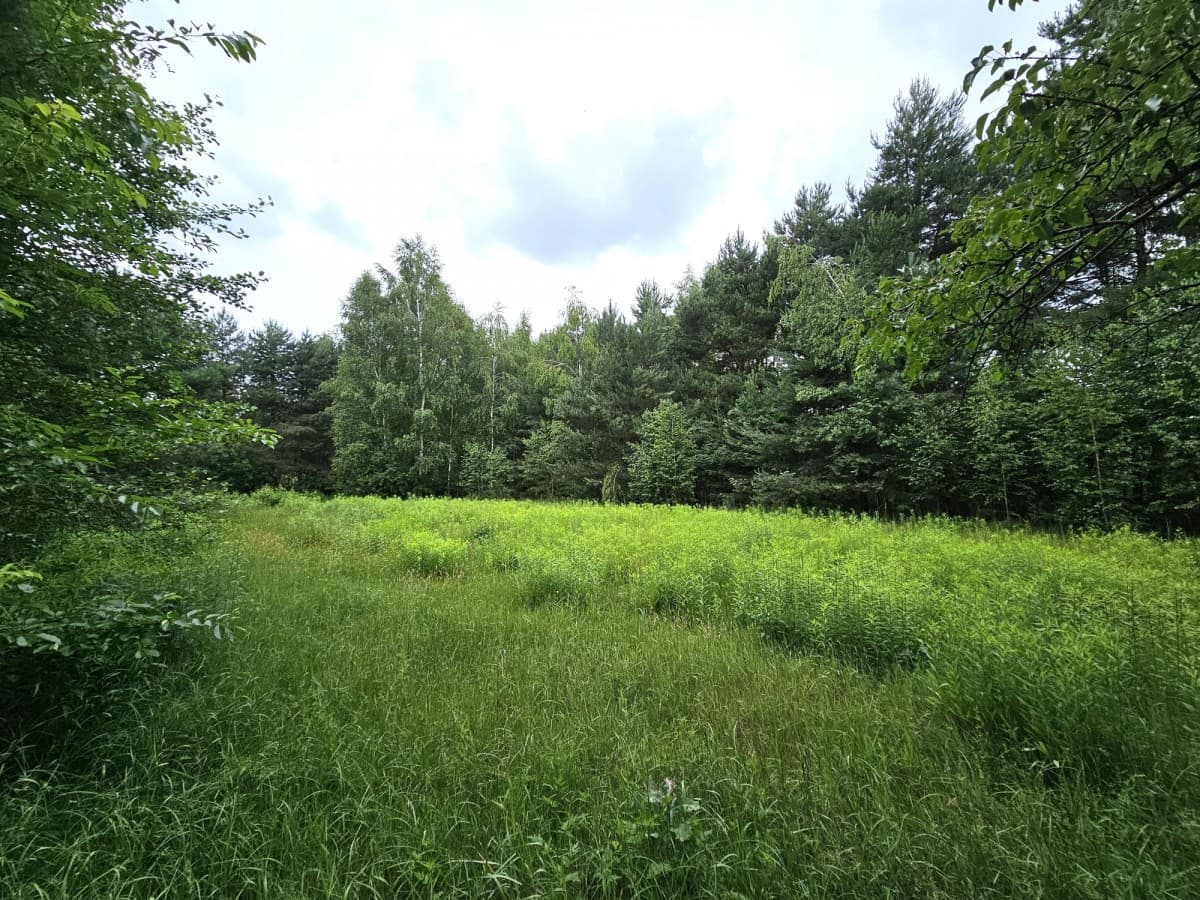Участок - 2855 м² - Ярошки