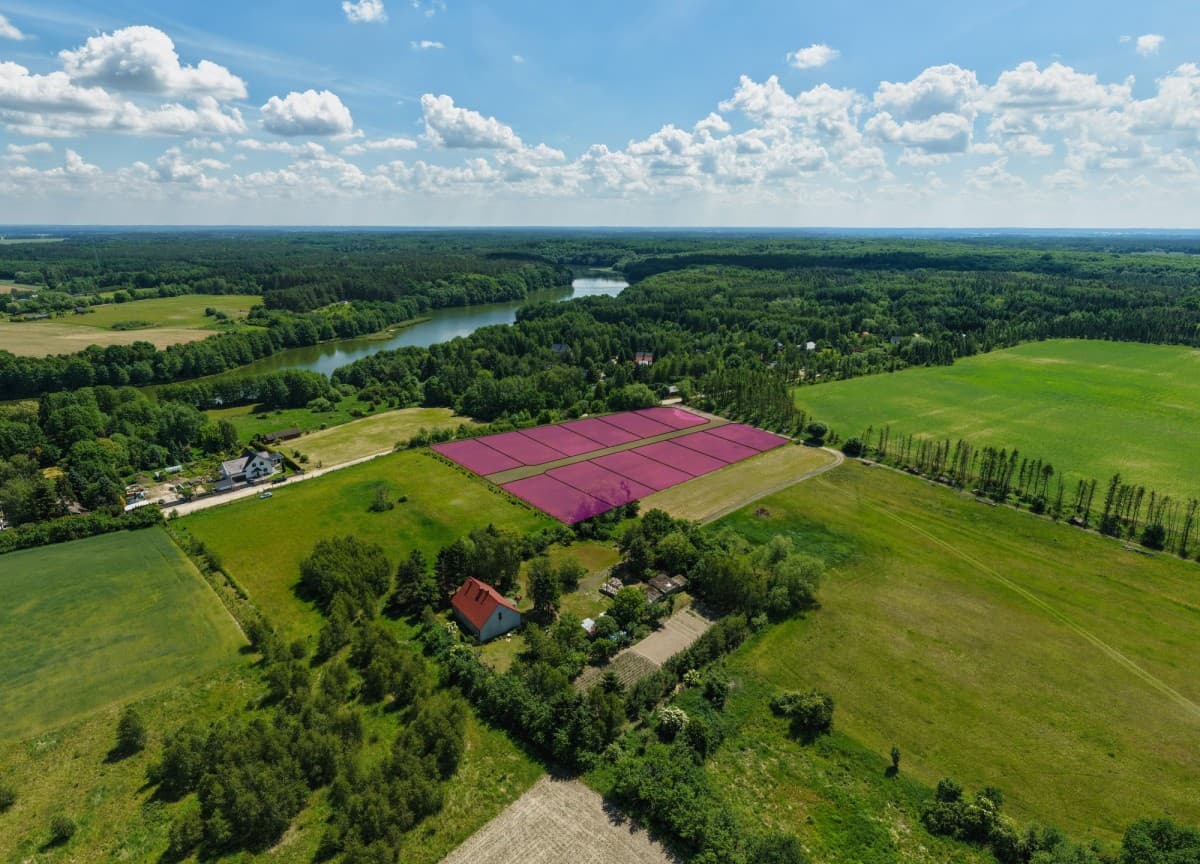 Grundstück - 12205 m² - Nienawiszcz