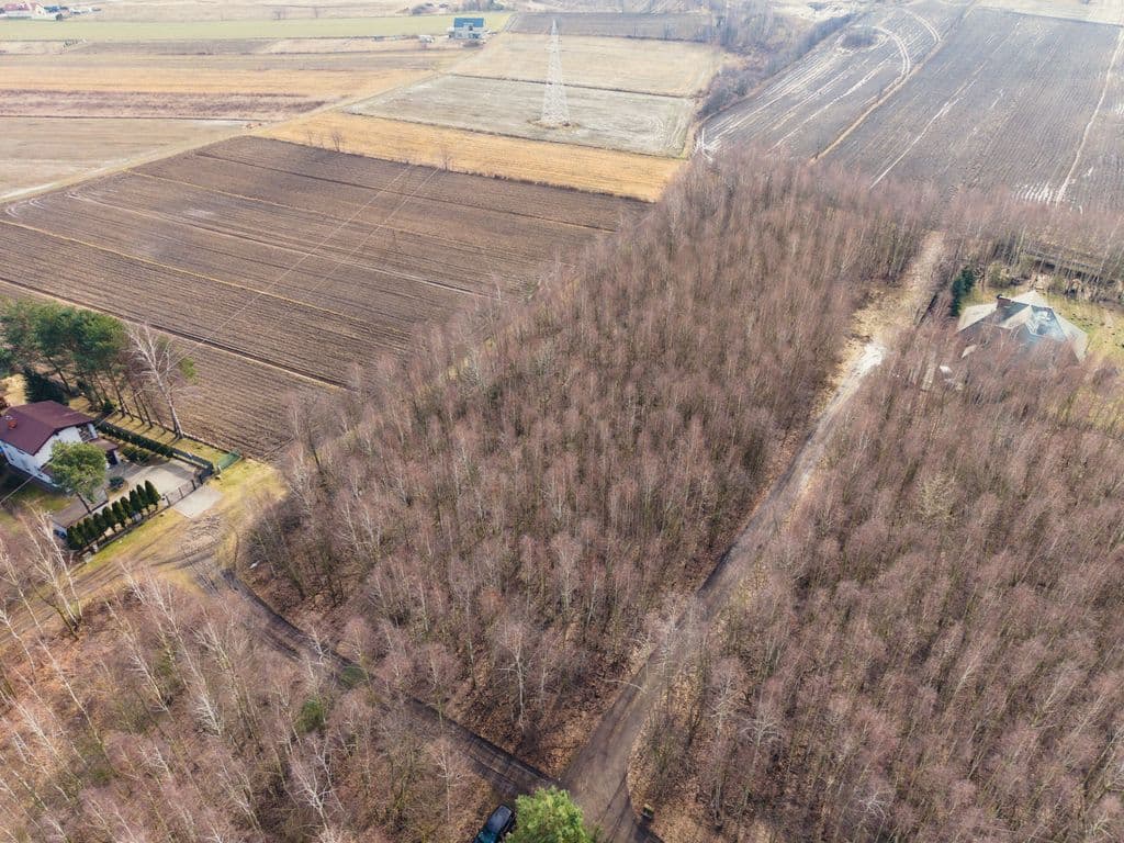 부지 - 12253 m² - 엘리자 오르제슈코바 거리 로사노프